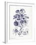 Indigo Botanical IV-Gwendolyn Babbitt-Framed Art Print