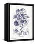 Indigo Botanical IV-Gwendolyn Babbitt-Framed Stretched Canvas