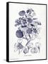 Indigo Botanical IV-Gwendolyn Babbitt-Framed Stretched Canvas
