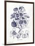 Indigo Botanical IV-Gwendolyn Babbitt-Framed Art Print