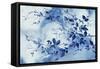 Indigo Branches-Eva Watts-Framed Stretched Canvas