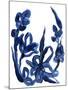 Indigo Brush Blooms II-June Vess-Mounted Art Print