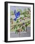 Indigo Bunting and Rainbow Bunting-Charlsie Kelly-Framed Giclee Print