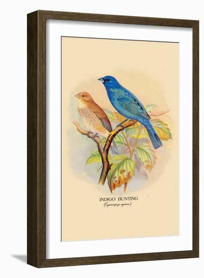 Indigo Bunting-Arthur G. Butler-Framed Art Print