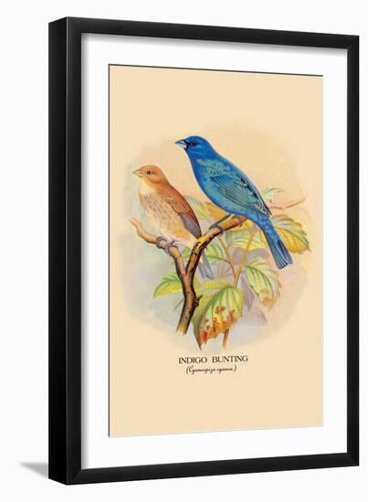 Indigo Bunting-Arthur G. Butler-Framed Art Print