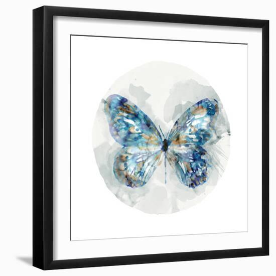 Indigo Butterfly III-Edward Selkirk-Framed Art Print