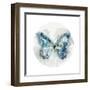 Indigo Butterfly III-Edward Selkirk-Framed Art Print