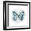 Indigo Butterfly III-Edward Selkirk-Framed Art Print