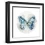 Indigo Butterfly III-Edward Selkirk-Framed Art Print