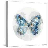 Indigo Butterfly III-Edward Selkirk-Stretched Canvas