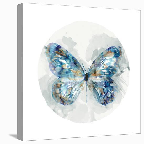 Indigo Butterfly III-Edward Selkirk-Stretched Canvas