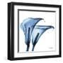 Indigo Calla Lilies C-Albert Koetsier-Framed Art Print