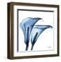 Indigo Calla Lilies C-Albert Koetsier-Framed Art Print