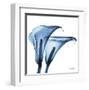 Indigo Calla Lilies C-Albert Koetsier-Framed Art Print