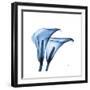 Indigo Calla Lilies C-Albert Koetsier-Framed Premium Giclee Print