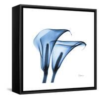 Indigo Calla Lilies C-Albert Koetsier-Framed Stretched Canvas