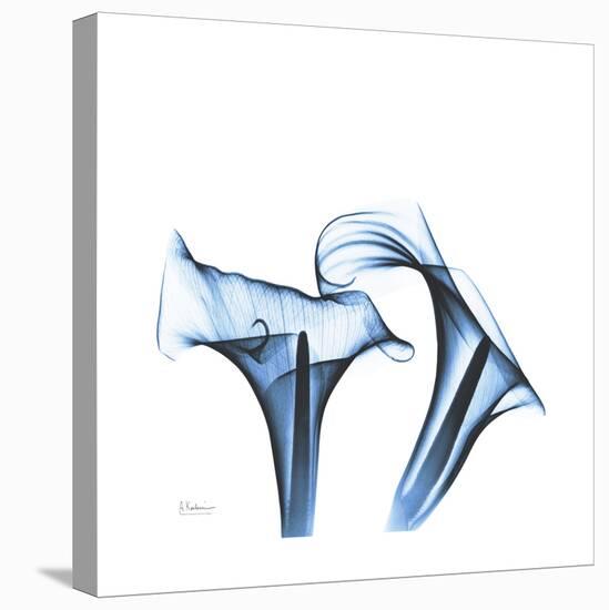 Indigo Calla Lilies D-Albert Koetsier-Stretched Canvas