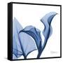 Indigo Calla Love-Albert Koetsier-Framed Stretched Canvas