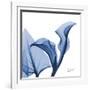 Indigo Calla Love-Albert Koetsier-Framed Art Print