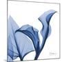 Indigo Calla Love-Albert Koetsier-Mounted Art Print