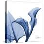 Indigo Calla Love-Albert Koetsier-Stretched Canvas