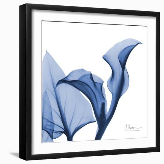 Indigo Calla Love-Albert Koetsier-Framed Art Print