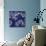 Indigo Carp Katagami II-Vision Studio-Art Print displayed on a wall