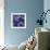 Indigo Carp Katagami II-Vision Studio-Framed Art Print displayed on a wall