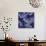 Indigo Carp Katagami III-Vision Studio-Art Print displayed on a wall