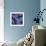 Indigo Carp Katagami III-Vision Studio-Framed Art Print displayed on a wall