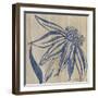 Indigo Coneflower-Chariklia Zarris-Framed Art Print