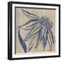 Indigo Coneflower-Chariklia Zarris-Framed Art Print