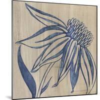 Indigo Coneflower-Chariklia Zarris-Mounted Art Print