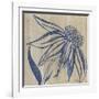 Indigo Coneflower-Chariklia Zarris-Framed Art Print