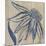 Indigo Coneflower-Chariklia Zarris-Mounted Art Print