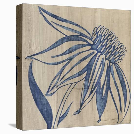 Indigo Coneflower-Chariklia Zarris-Stretched Canvas