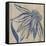 Indigo Coneflower-Chariklia Zarris-Framed Stretched Canvas