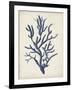 Indigo Coral IV-Vision Studio-Framed Art Print