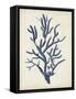 Indigo Coral IV-Vision Studio-Framed Stretched Canvas