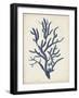 Indigo Coral IV-Vision Studio-Framed Art Print