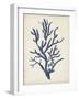 Indigo Coral IV-Vision Studio-Framed Art Print