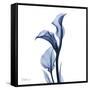 Indigo Covered Calla Lily-Albert Koetsier-Framed Stretched Canvas