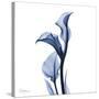 Indigo Covered Calla Lily-Albert Koetsier-Stretched Canvas