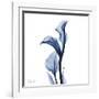 Indigo Covered Calla Lily-Albert Koetsier-Framed Art Print