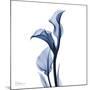 Indigo Covered Calla Lily-Albert Koetsier-Mounted Art Print