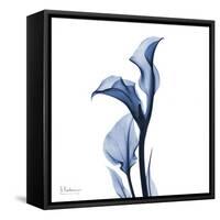 Indigo Covered Calla Lily-Albert Koetsier-Framed Stretched Canvas