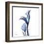 Indigo Covered Calla Lily-Albert Koetsier-Framed Art Print