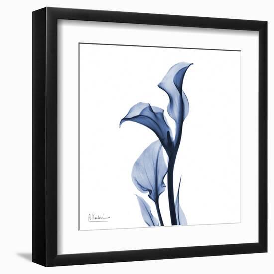 Indigo Covered Calla Lily-Albert Koetsier-Framed Art Print