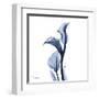 Indigo Covered Calla Lily-Albert Koetsier-Framed Art Print