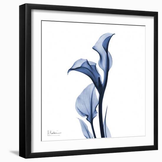 Indigo Covered Calla Lily-Albert Koetsier-Framed Art Print